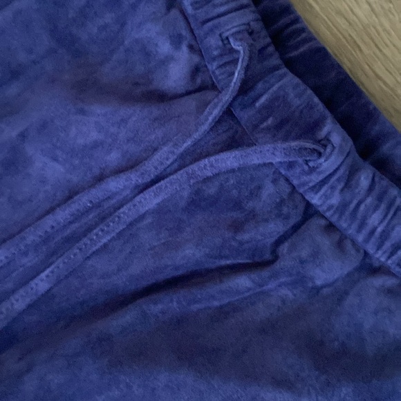 TERRY LEWIS Classic Luxuries Suede Leather Lined Pants size 10 VINTAGE - Picture 4 of 10